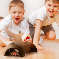 SunGrow Hermit Crab Coconut Cave - image 2