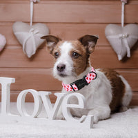 ARING PET Halloween Dog Collar-Cute Fall Dog Collar for Small Dogs - X-Small / Valentine-Pink Red Heart - image 4