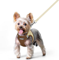 rabbitgoo Dog Harness Small Sized and Leash Set - Brown & Beige / Xs (chest: 13.3 - 15.5")