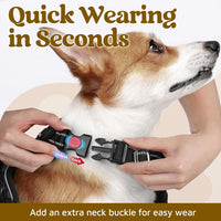 rabbitgoo Dog Harness for Large, No Pull 3 Buckles Easy On & Off – Essentials for Dogs - Black / Large - image 2