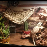Reptile Hammock, Large Lizard Lounger - 【▲+■+▄+Purple】 - image 2