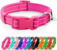 Reflective Dog Collar, Neoprene Padded Small Dog Collar, S - Small (Pack of 1) / Hot Pink
