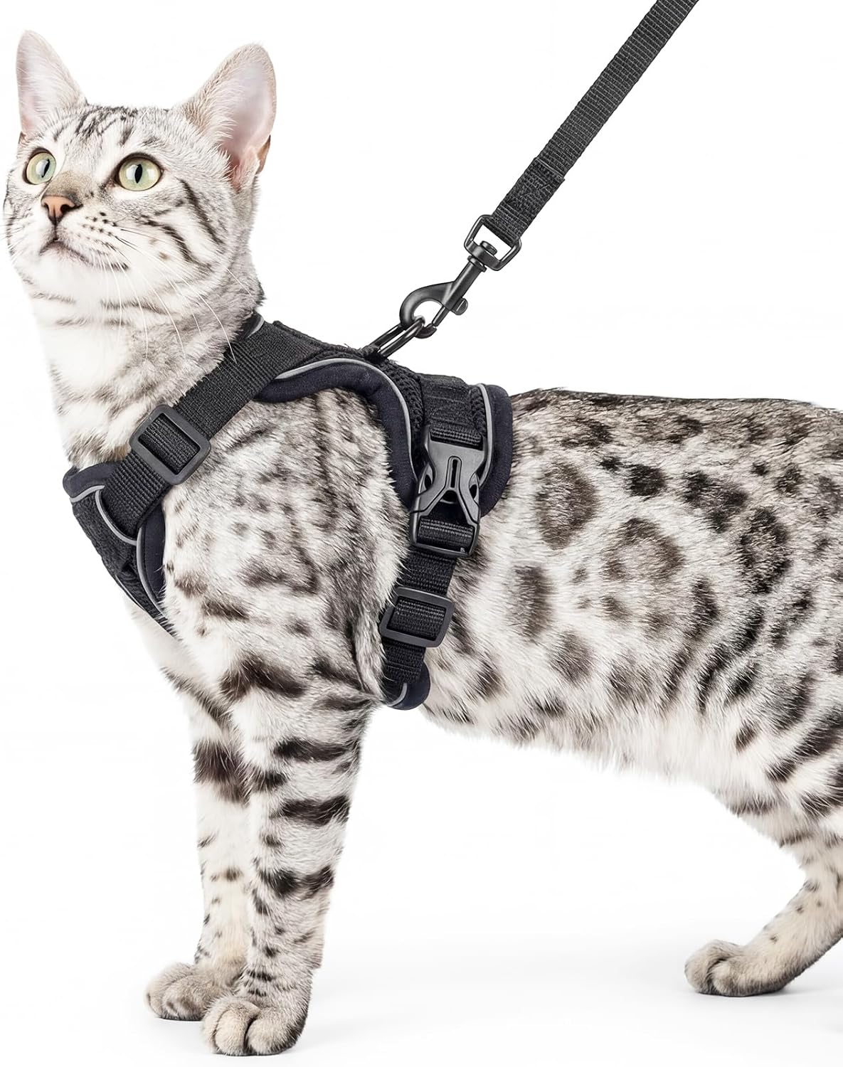 Cat Harness and Leash Set, Escape Proof Cat Vest, XL - Black / XX-Large