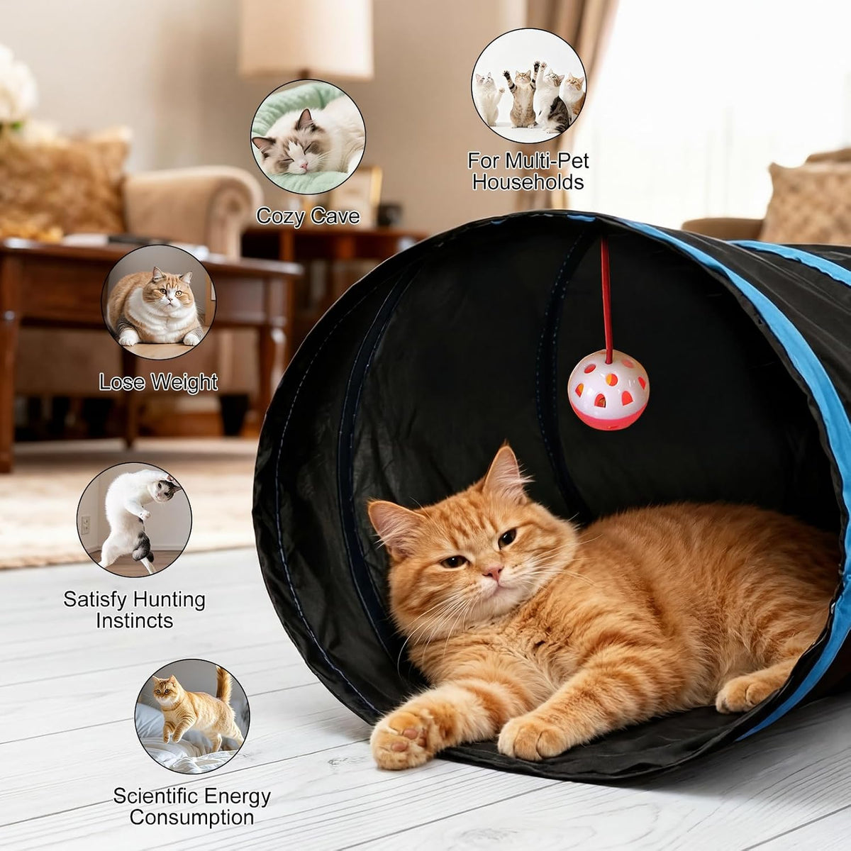 Bemodst Cat Tunnel for Indoor Cats - Black&Blaue 5 way - image 3