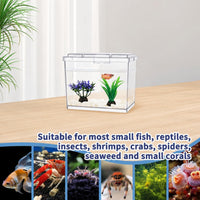 MoonOrange Mini Betta Fish Tank Kit with LED Light Base - Mini Tank 02 - image 2