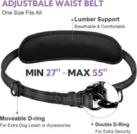 Hands Free Dog Leash for Two Dogs Walking, Running – Essentials for Dogs - Black/Purple / Large - image 2