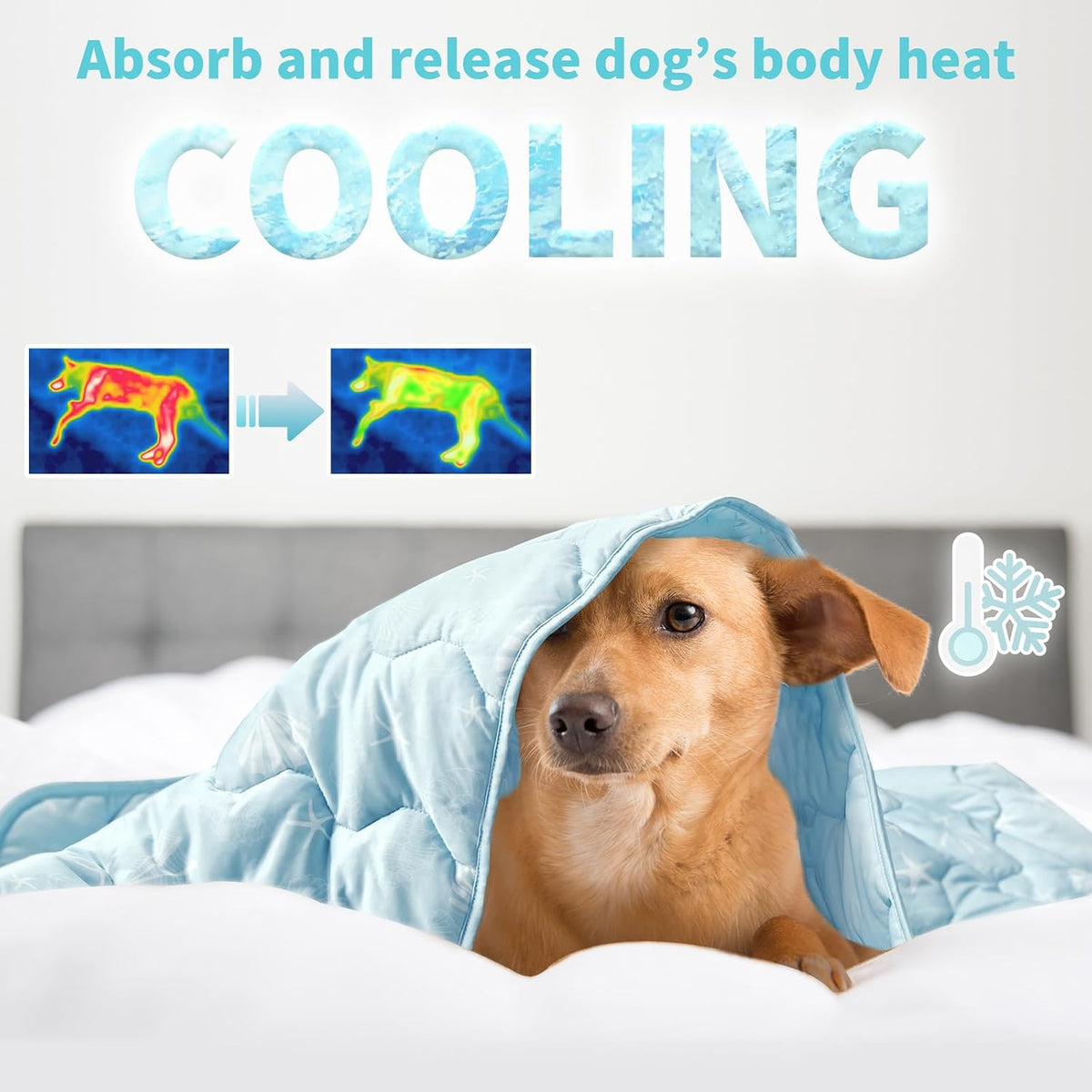 NWK Dog Cooling Blanket Q-Max>0.345 for Summer – Essentials for Dogs - Ocean Blue / XL (60''x 80'') - image 2