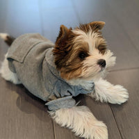 Soft Dog Hoodies for Small Dogs - Grey / Small - image 2