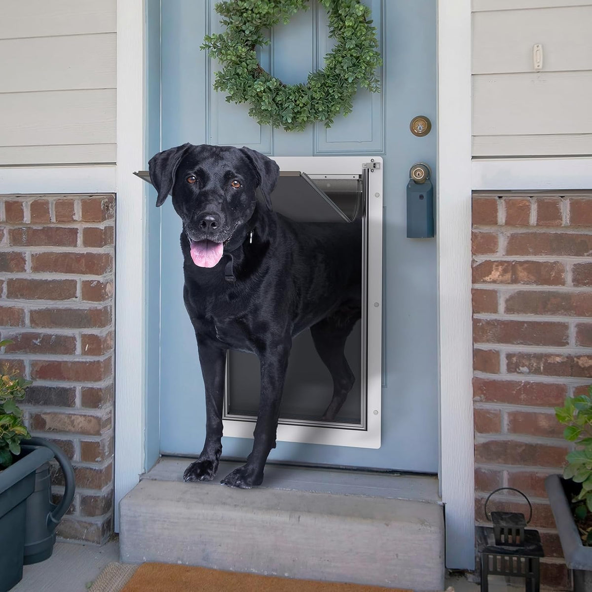 Baboni Dog Door for Door, 3-Flap, Durable Plastic Frame - White / X-Large / Metal Frame - image 2