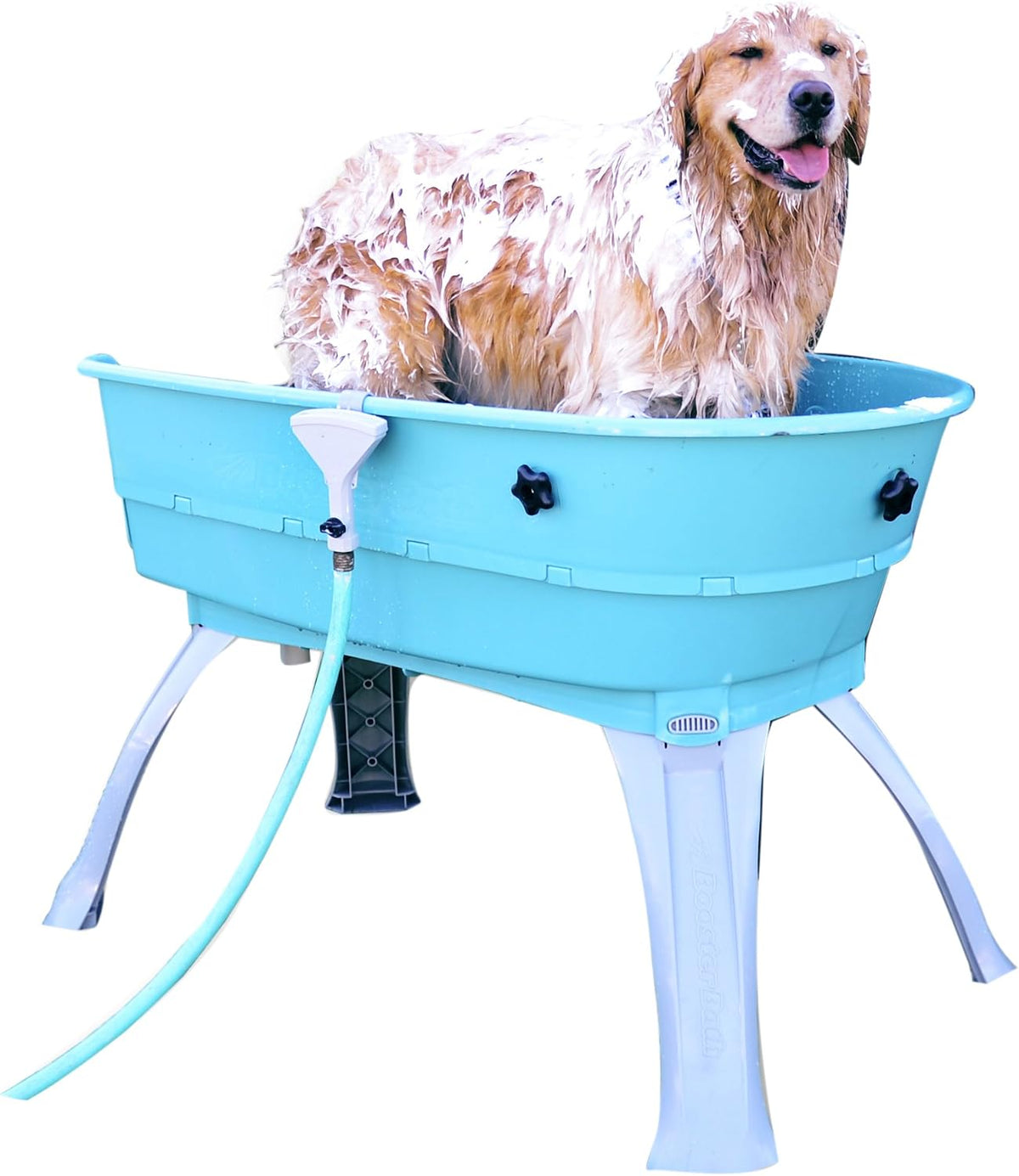 Elevated Pet Bathing, Teal, Large – Essentials for Dogs - Teal / Booster Bath