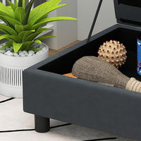 PawHut Luxury Fancy Dog Couch with Hidden Storage, Small Dog Sofa Bed with 2" Soft Foam, Modern Pet Furniture for Puppies & Little Breeds, Dark Gray
