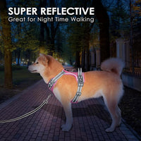 PHOEPET No Pull Dog Harness, Unique Colors Reflective Adjustable Dog Vest, with Soft Training Handle Metal Clips for Small Medium Large Dogs (Baby Pink Base & Grey Straps,L)