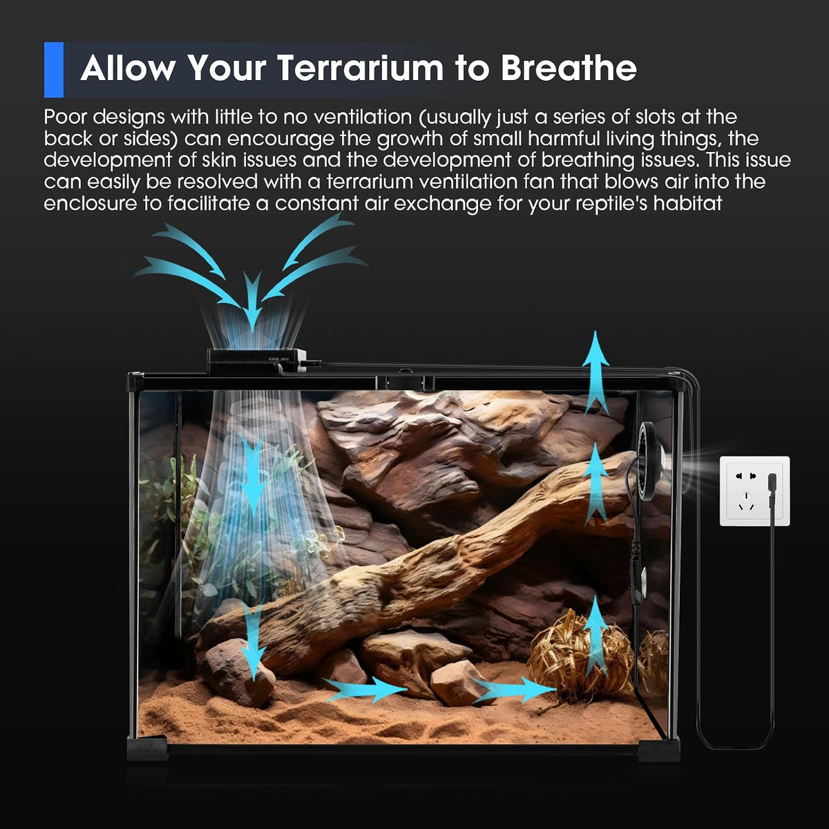 Reptile Terrarium Thermometer Hygrometer with Dehumidifier - image 4