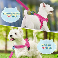 SlowTon No Pull Small Dog Harness and Leash Set with Front Clip – Essentials for Dogs - Medium / Fuchsia - image 4