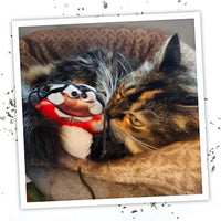 Meowijuana Lady Bug Bundle | Get Sprung Refillable Lady Bug Toy and Garden Pawty Catnip Blend | Promotes Play and Cat Health | Includes North American Organic Catnip