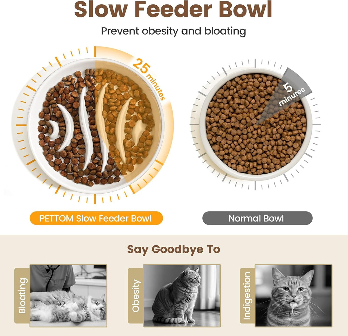 PETTOM Slow Feeder Cat Bowl Elevated Ceramic with Bamboo Stand - Fishbone - image 2