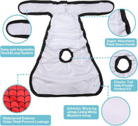 Avont 3 Pack Reusable Dog Diapers - Mixed Pattern - Web/Milk/Jeans / S - image 4