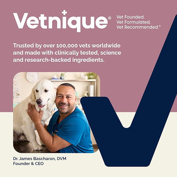 Vetnique Oticbliss Advanced Strength Medicated Dog Ear Infection Treatment, Antiseptic Ear Cleaner for Cat & Dog Ear Cleaning Solution Chlorhexidine & Ketoconazole (6oz Flush)