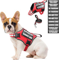 Service Dog Vest Harness and Leash Set+10 Patches - Small / Red
