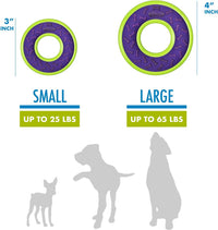 Hero Outer Armor, Fetch Ring Dog Toy, Floats & Squeaks, Blue – Essentials for Dogs - Ring - Purple - image 3
