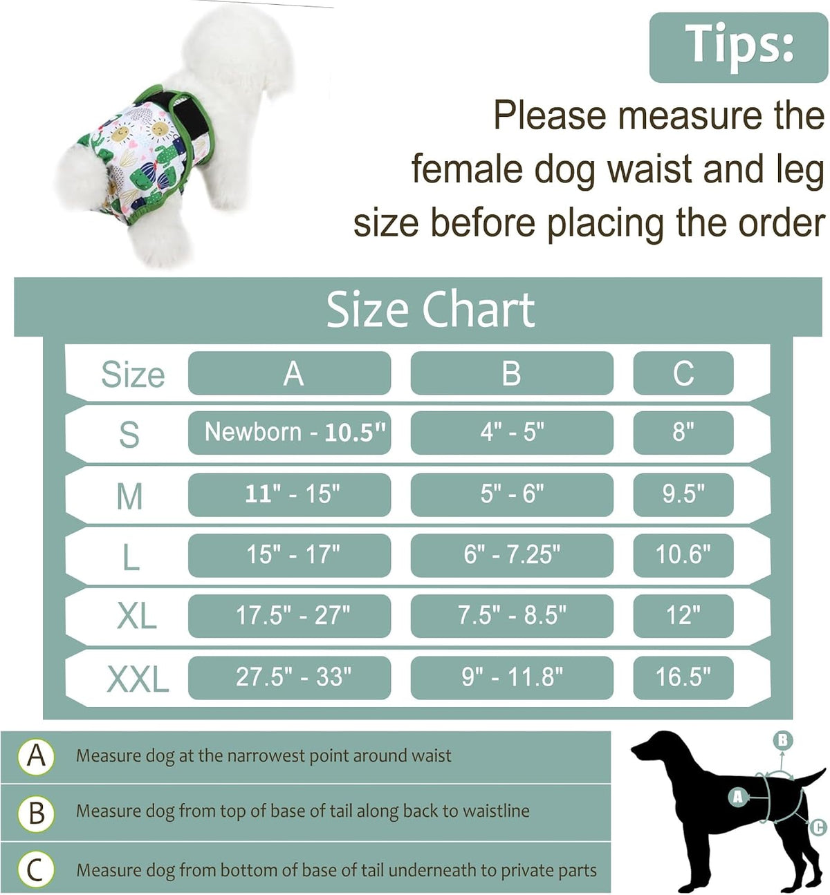 Washable Female Dog Diapers - XX-Large(27.5"-33"Waist) / Cactus - image 3