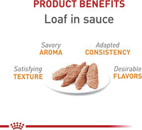 Royal Canin Feline Care Nutrition Hair & Skin Care Loaf in Sauce Canned Cat Food, 5.1 oz can (24-count)