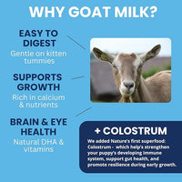 Under the Weather Kitten Milk Replacement Powder + Colostrum for Cats & Kittens | Goat Milk Replacer Powder | Goat-Based Formula with Colostrum for Immune & Digestive Support - 12 oz