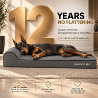 The Dog’s Bed Orthopedic Memory Foam Dog Bed with Headrest XL 6-Inch – Essentials for Dogs - Grey with Black Trim / XXL (54"L x 36"W x 4"Th) - image 3