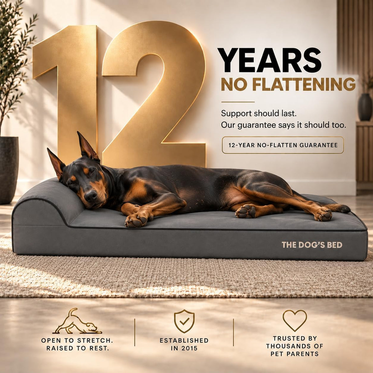 The Dog’s Bed Orthopedic Memory Foam Dog Bed with Headrest XL 6-Inch – Essentials for Dogs - Grey with Black Trim / XXL (54"L x 36"W x 4"Th) - image 3