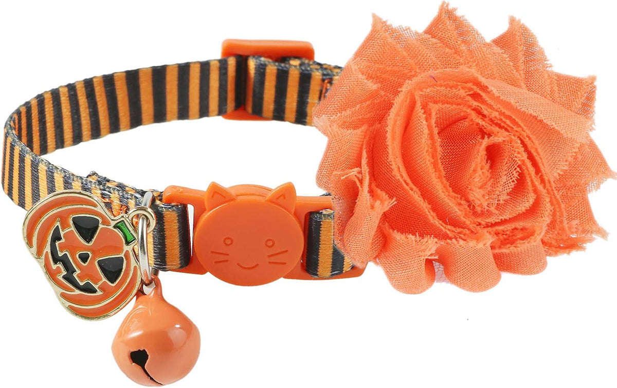 BoomBone Fall Cat Collar with Bell and Pumpkin Charm – Essentials for Cats