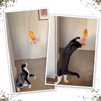 Meowijuana Jump 'n' Jamb Door Hanging Cat Toy Bundle | Deep Sea Squid + Sierra Sunshine Blend | Refillable Interactive Catnip Toy | Promotes Play and Cat Health | Potent Catnip Grown in North America