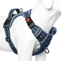 Timos Dog Harness, No Pull Large Sized with 3 Buckles - Medium / Lock Royal Blue - image 4