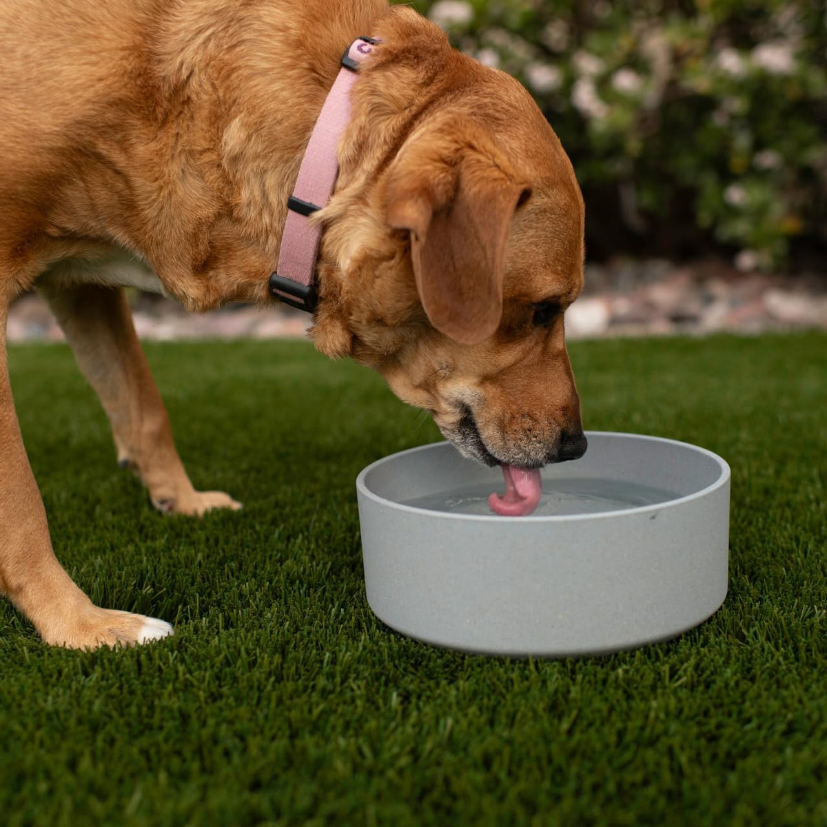 Loving Pets, Dolce Bamboo - Slate Grey / Large Dish - image 2