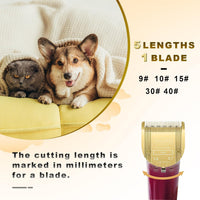 3Pack 5 in 1 Blades Dog Grooming Blade Compatible with Wahl Bravura - GOLD/2PCS - image 4