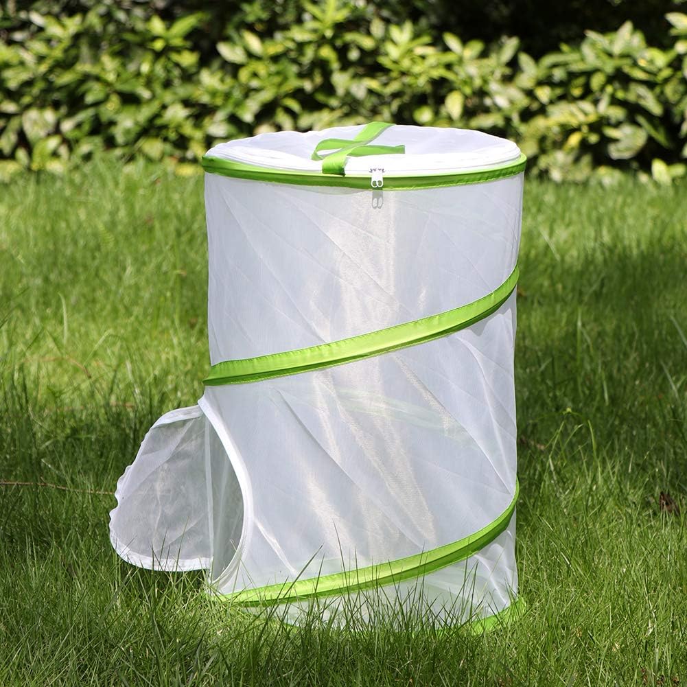 Large Butterfly Habitat, Insect Mesh Cage Pop-up, 12" x 20" Tall – Fun for Kids & Family - image 3