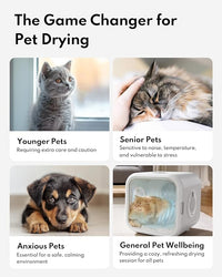 HomeRunPet Cat Dryer, 360° Efficient Automatic and Quiet Box with Smart Temperature Control, Ideal for Small Dogs (50L Drybo Plus Pet Dryer Box)
