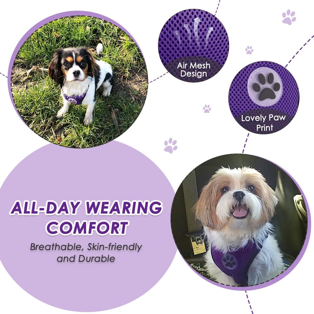 Lukovee Dog Car Harness Seat Belt Set - XX-Small / Purple - image 3