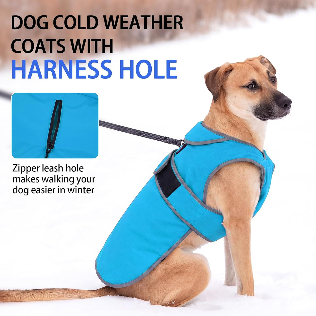 MIGOHI Warm Dog Coat Waterproof Winter Dog Jacket, M - Azure / XXX-Large - image 2
