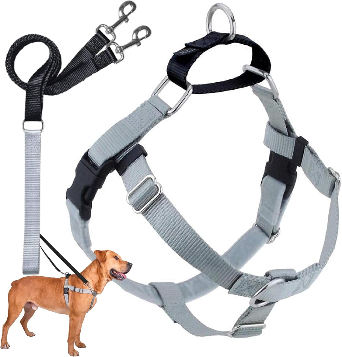 2 Hounds Design Freedom No Pull Dog Harness and Leash, 1" LG - Silver / XXL (Chest 38" - 44")