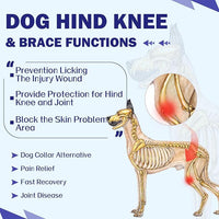 ROZKITCH Dog Surgery Leg Sleeve Rear Legs, Male Female Pet Prevent Licking Wound Elbow Knee Protector, Dog Recovery Suit Cone Collar Alternative Pants Shirt for Wound Heal Wrap Rosered 3XL