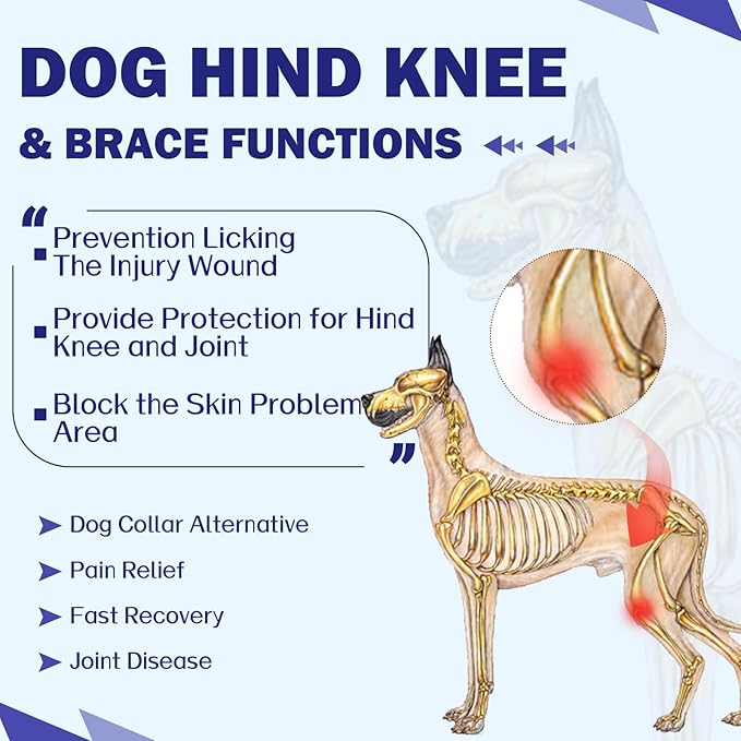 ROZKITCH Dog Surgery Leg Sleeve Rear Legs, Male Female Pet Prevent Licking Wound Elbow Knee Protector, Dog Recovery Suit Cone Collar Alternative Pants Shirt for Wound Heal Wrap Rosered 3XL