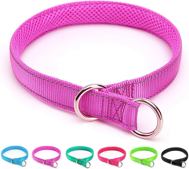 Reflective Slip Dog Collar Lightweight Loop Dog Collar 44-75lb Dogs – Essentials for Dogs - Purple / M: 1"W x 22"L (neck size: 15.7"-19.7")