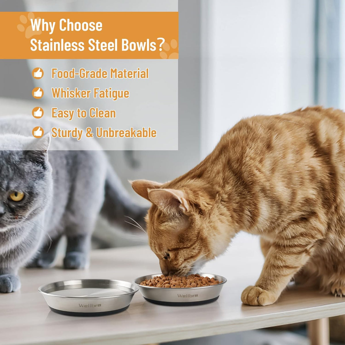 Cat Bowls, 304 Stainless Steel Non-Slip Wide Shallow - 6 Non-slip Bowls - image 2