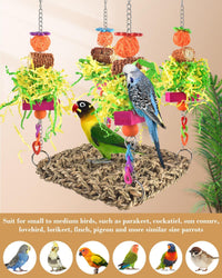 ERKOON Bird Toys, Parrot Toys Foraging Swing Mat Parrot Cage Hanging Toys Birds Grass Mat Climbing - Parrot swing mat-1 Pack - image 4