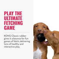 KONG Extreme Ball with Hole, Fetch Toy, Black - Medium - image 4