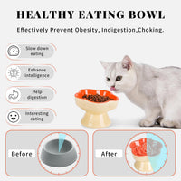 S&Q's CERAMICS Raised Slow Feeder Cat Bowl - 5.8" / Orange - image 3