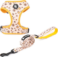 Dog Cat Harness and Leash Set - Honeybee / XS (Neck 9"-11"; Chest 11"-13")