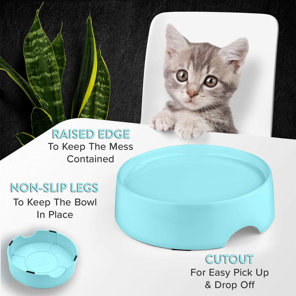 CatGuru Food Table for Cat Bowls - Standard / Aruba - image 3