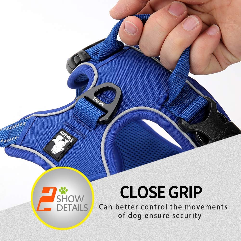 Truelove No Pull Dog Harness with Easy Control Handle and 2 Leash - Small / Royal Blue - image 4