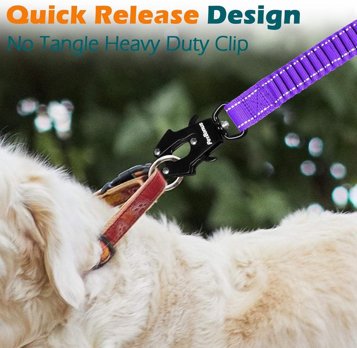 PetBonus Bungee Dog Leash Extension - Purple - image 2